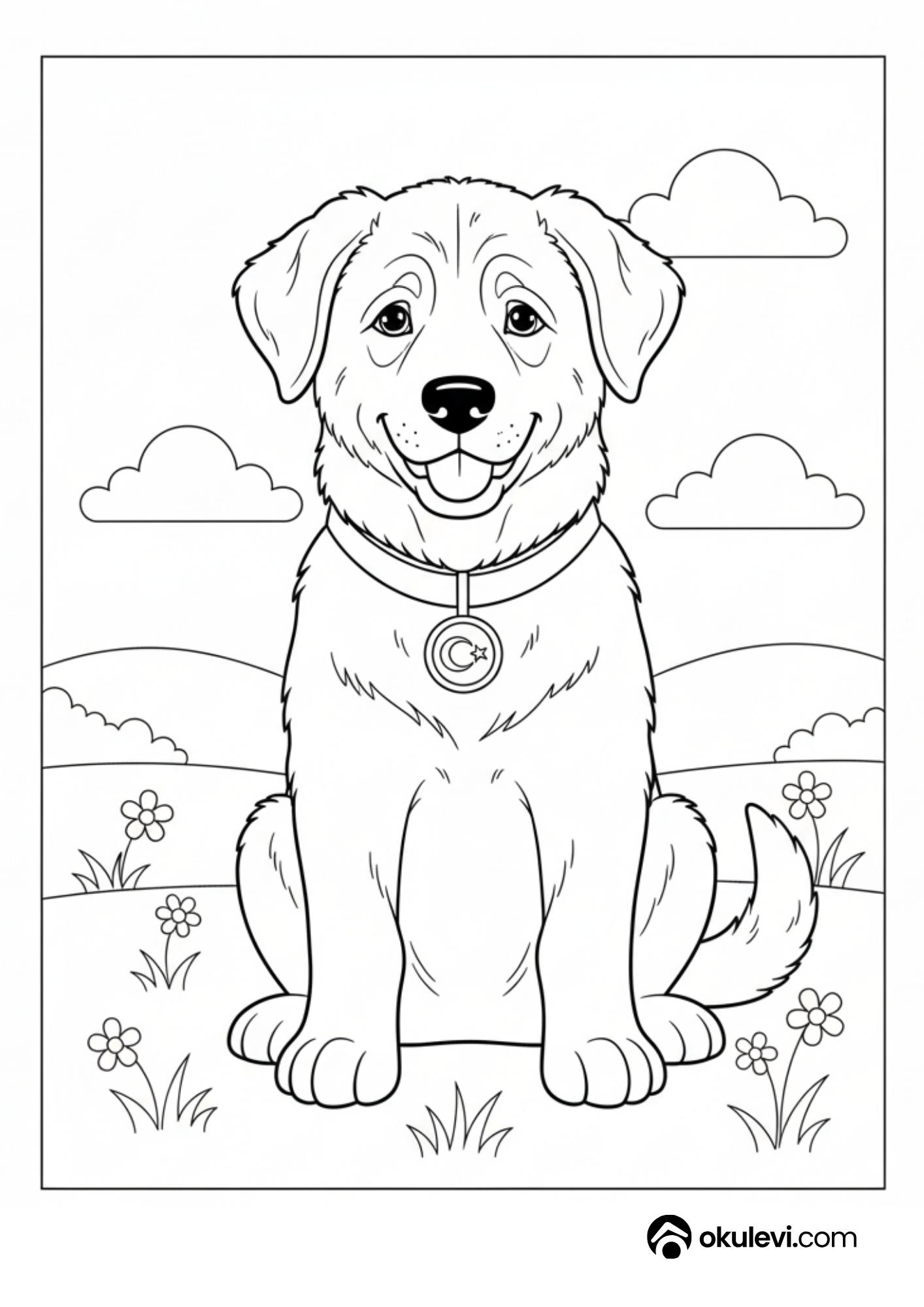 türk köpeği sivas kangalı boyama